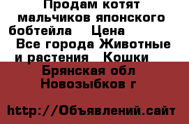 Продам котят мальчиков японского бобтейла. › Цена ­ 30 000 - Все города Животные и растения » Кошки   . Брянская обл.,Новозыбков г.